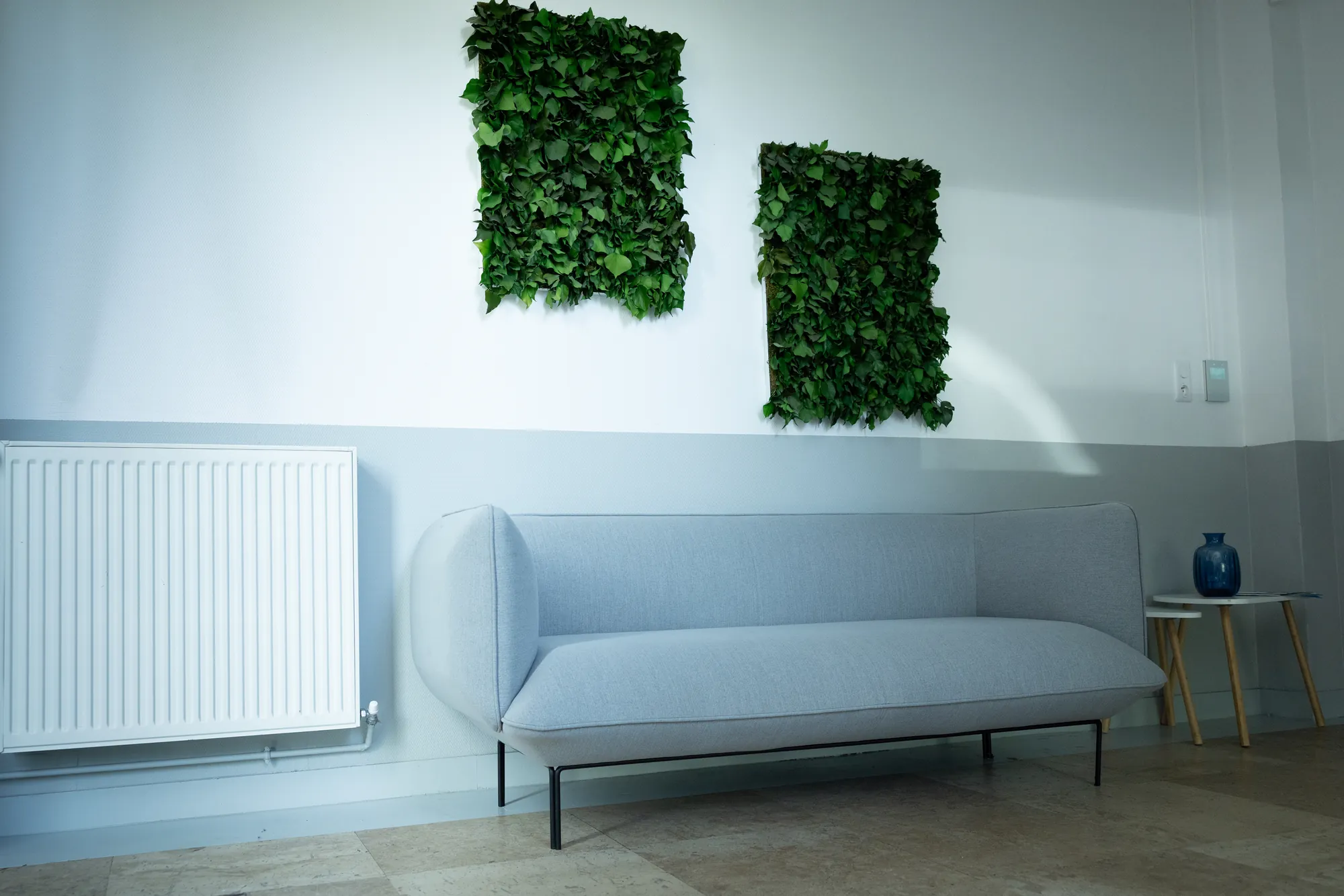 Coin salon avec murs végétaux chez Coalyo